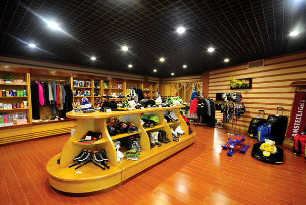 The Investment Project of Shopping Mall